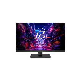 Asrock Gaming Monitor