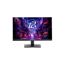 Asrock Gaming Monitor