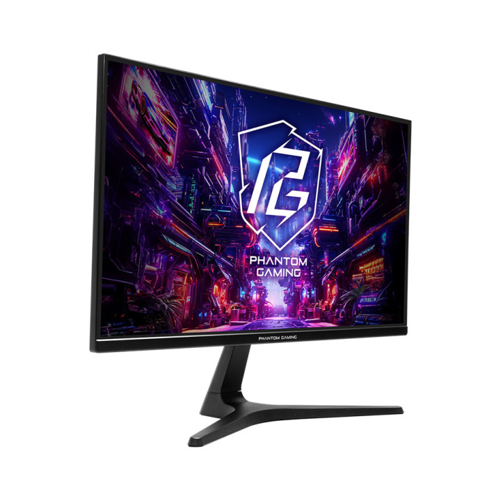 ASROCK 24.5 PG25FFT 180HZ