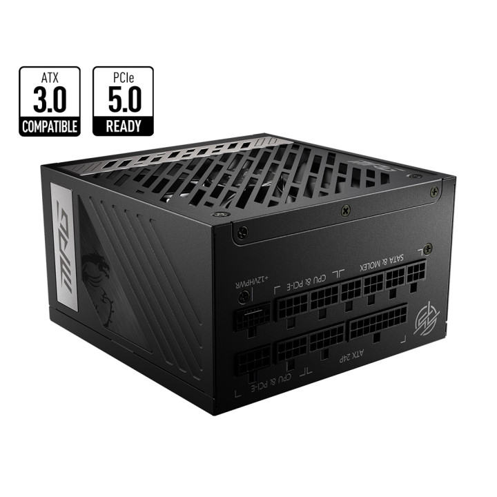 PSU MSI MPG A1000G PCIE5