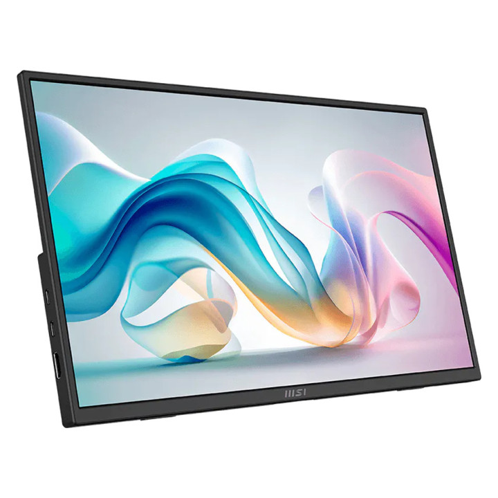 MSI PRO MP165 E6 Professional Business Portable Monitor