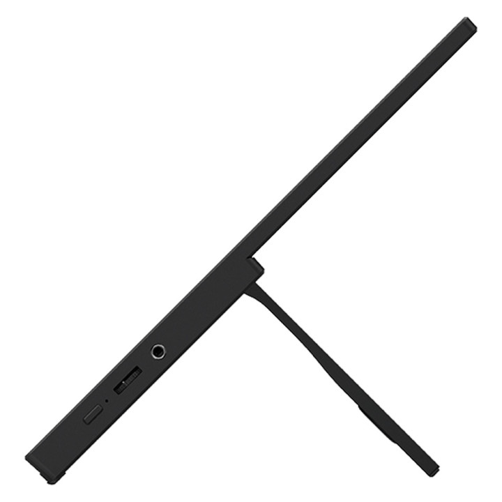 MSI PRO MP165 E6 Professional Business Portable Monitor