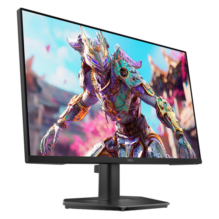 Dell Monitor SE2426HG 24" 1920x1080