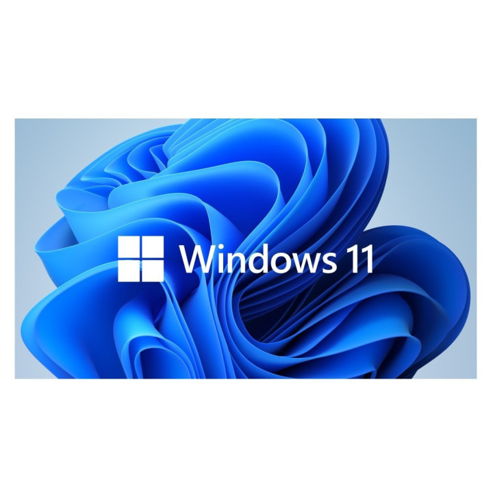 Софтуер WINDOWS 10/11 HOME OEM