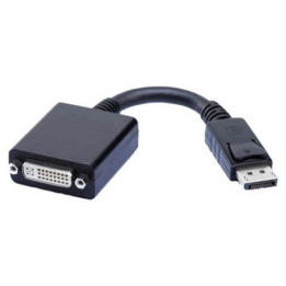 Display Port to DVI female