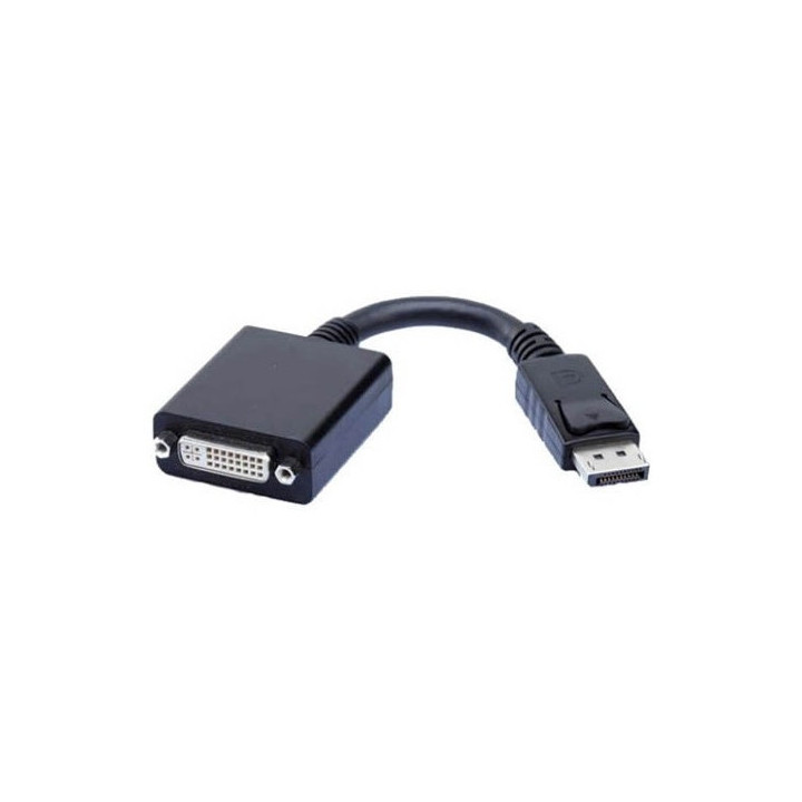 Display Port to DVI female