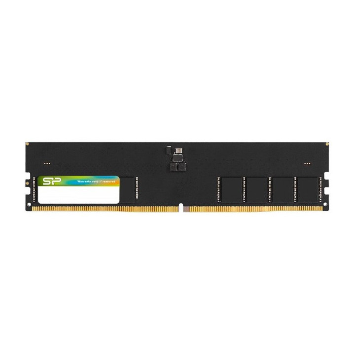 RAM 16GB DDR5 5600 SP