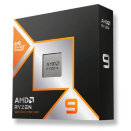 AMD Ryzen 9 9900X 3D