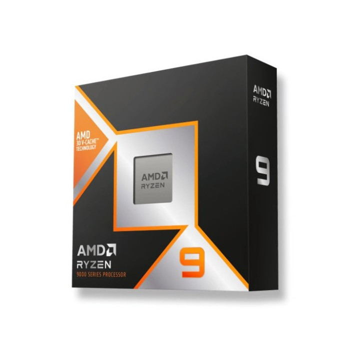AMD Ryzen 9 9900X 3D