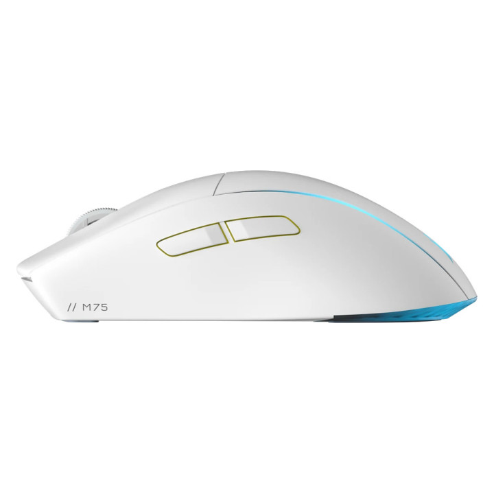 CORSAIR M75 WIRELESS Lightweight RGB Gaming Mouse