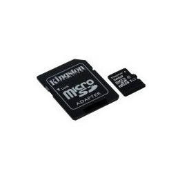 Kingston 32GB microSDHC Endurance 95R/30W C10 A1 UHS-I Card Only