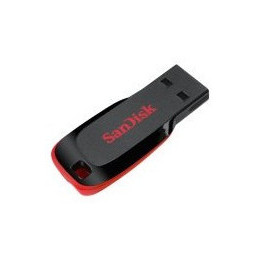 SANDISK Cruzer Blade USB Flash Drive 128GB