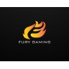 Fury